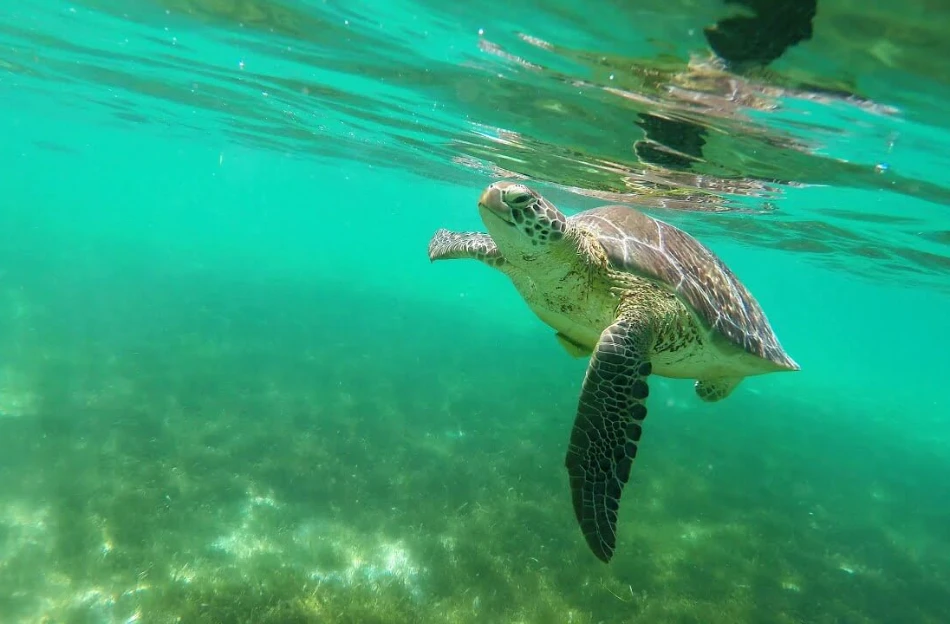 How To Experience Cancun Like A Local