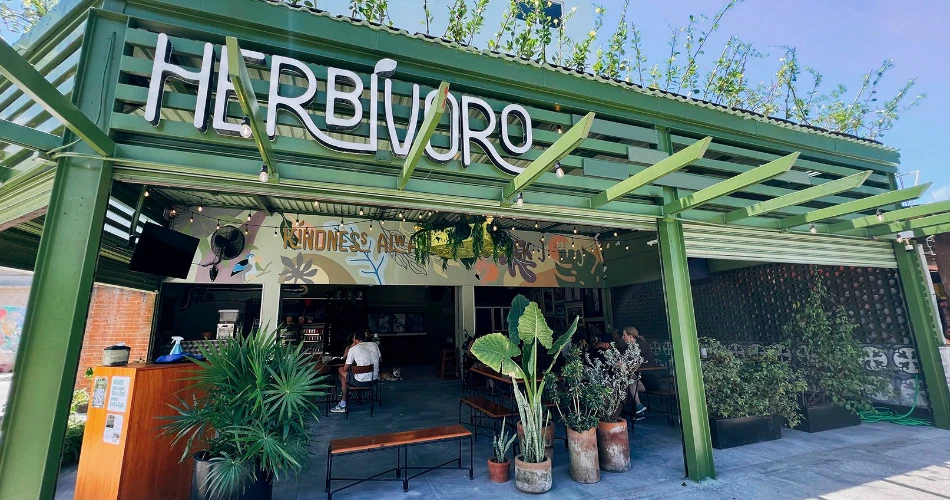 Where to Eat in Cancun? – Top Spots!