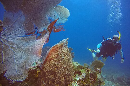 Tour image 5